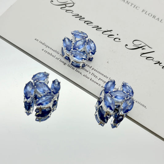 T72煌めく氷の結晶