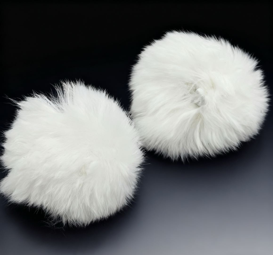 [A0111]雪の日の贈り物