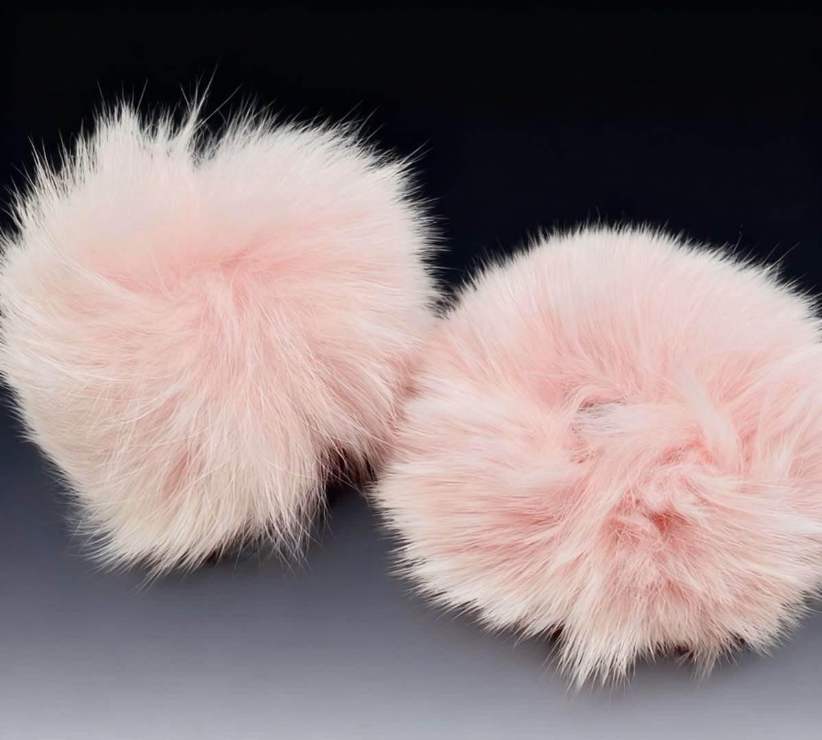 [A0111]雪の日の贈り物