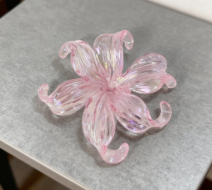 [C0101]一期一会の花